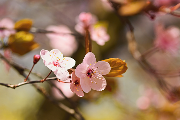 Режим работы на майские праздники