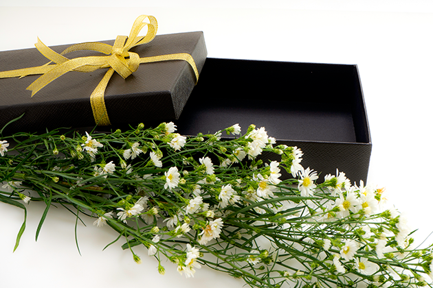 Режим работы интернет-магазина на 8 марта